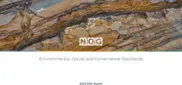 Northern Oil & Gas, Inc.