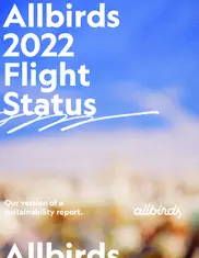 Allbirds, Inc.