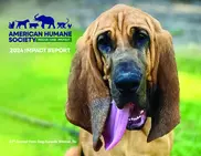 American Humane