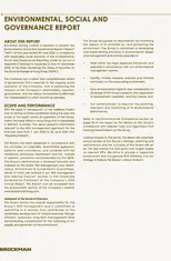 Brockman Mining Limited